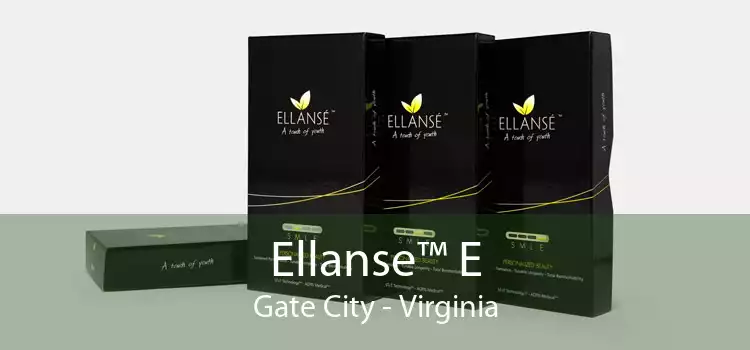 Ellanse™ E Gate City - Virginia
