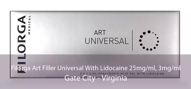 Filorga Art Filler Universal With Lidocaine 25mg/ml, 3mg/ml Gate City - Virginia